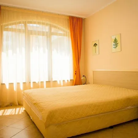 Vm Royal Sun - *
