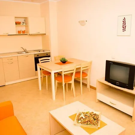 Vm Royal Sun -